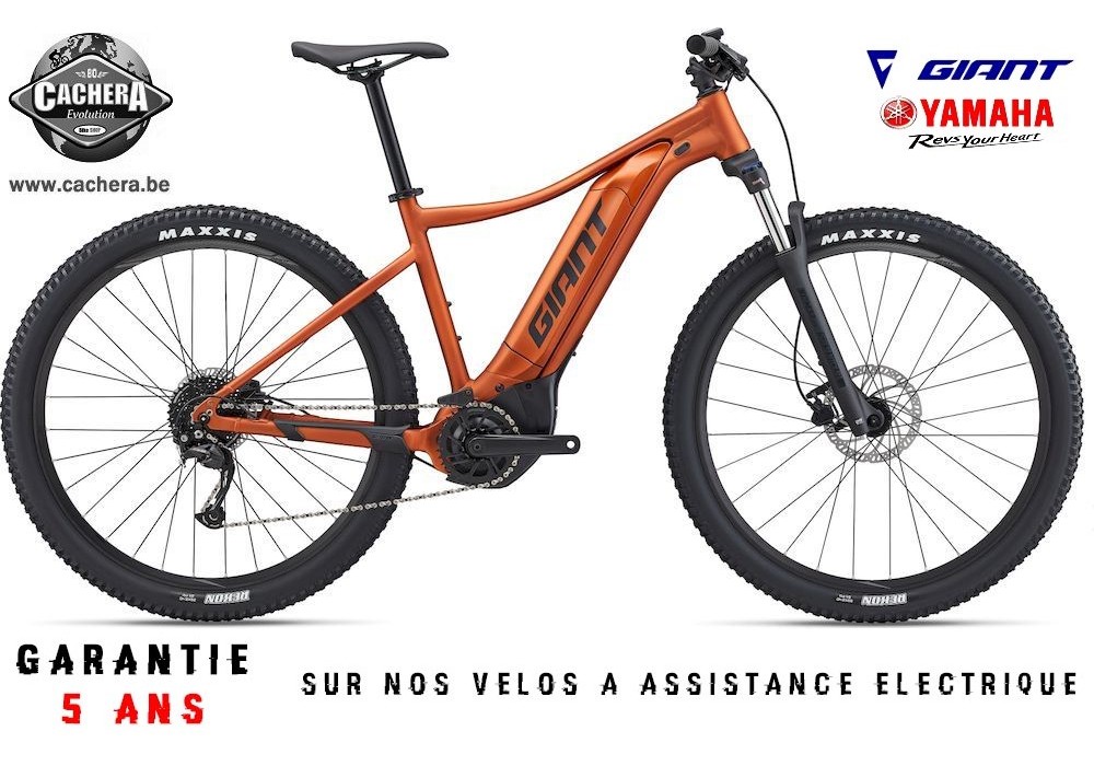 Giant assistance electrique sale